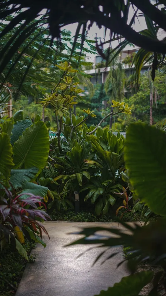 Landscape and garden maintenance service